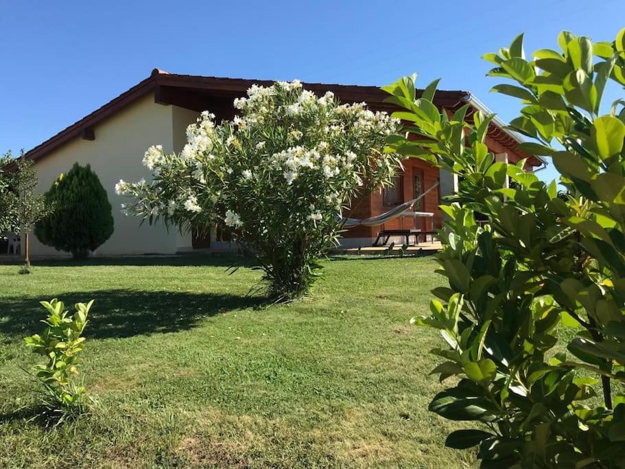 הוילה Bragança Quinta Pedro E Ines מראה חיצוני תמונה