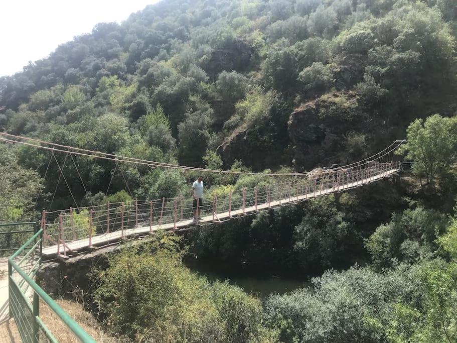 הוילה Bragança Quinta Pedro E Ines מראה חיצוני תמונה