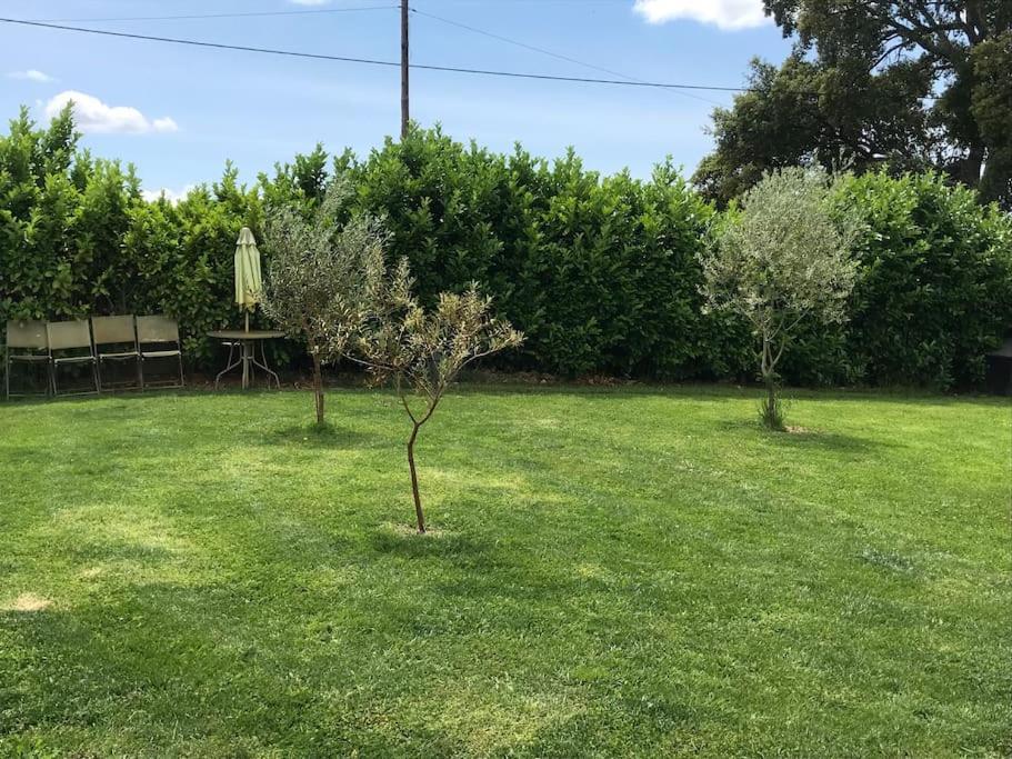 הוילה Bragança Quinta Pedro E Ines מראה חיצוני תמונה